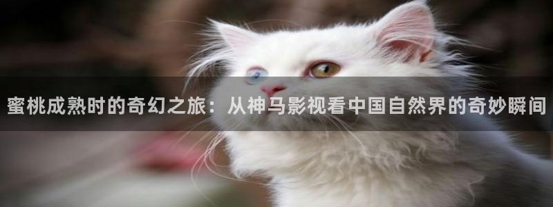 青丝影院大全免费2023年新版