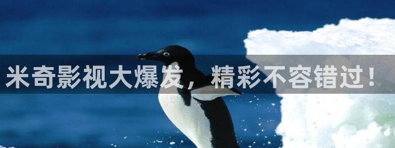 青丝影院电视剧在线观看
