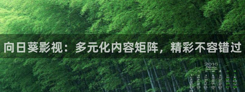 青丝电影：向日葵影视：多元化内容矩阵，精彩不容错过