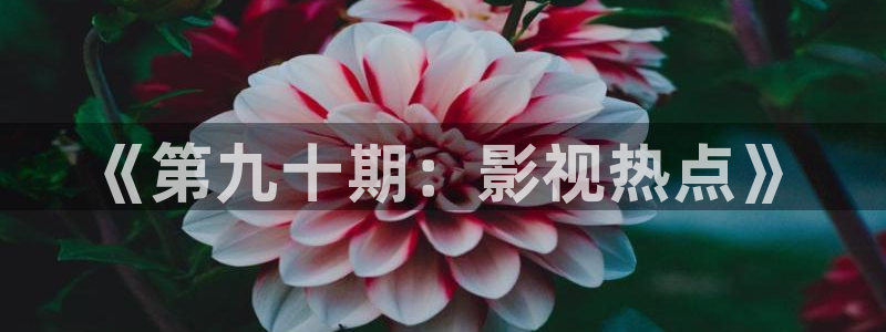 青丝影院在线观看最新电视剧：《第九十期：影视热点》