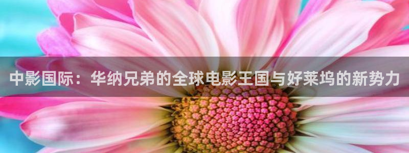 青丝影院在线观看最新电视剧：中影国际：华纳兄弟的全球电影王国与好莱坞的新势力